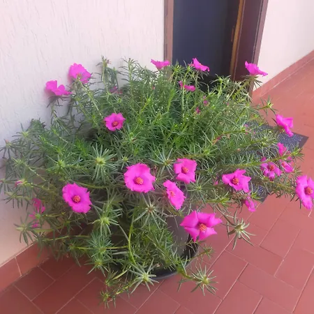 Apartmán Tu Casa Parking Fibre Optique Netflix