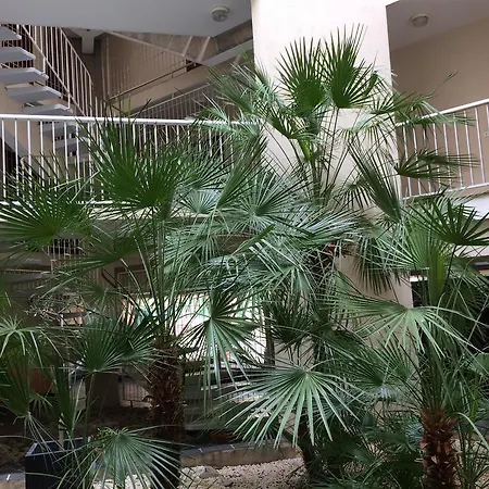 Apartman Tu Casa Parking Fibre Optique Netflix *