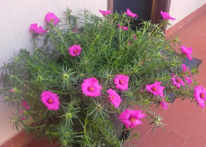 Apartmán Tu Casa Parking Fibre Optique Netflix