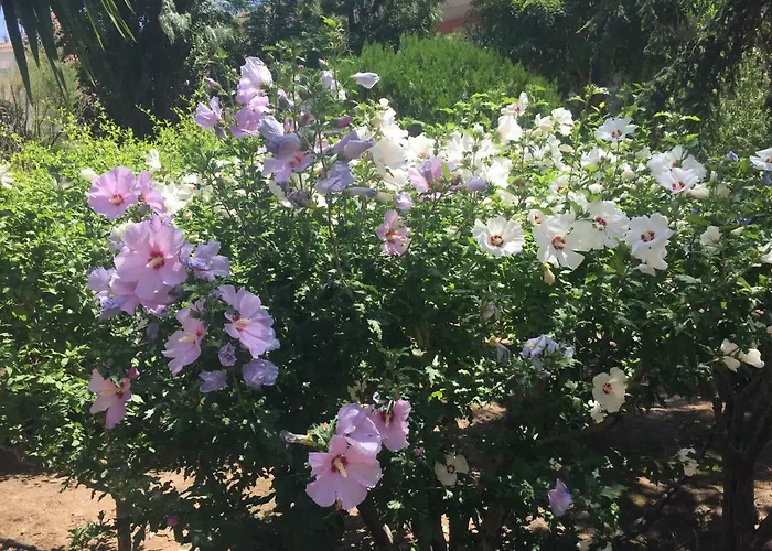 Tu Casa Parking Fibre Optique Netflix Saint-Raphaël